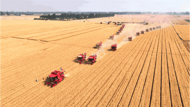 壹定发(中国游)官方网站